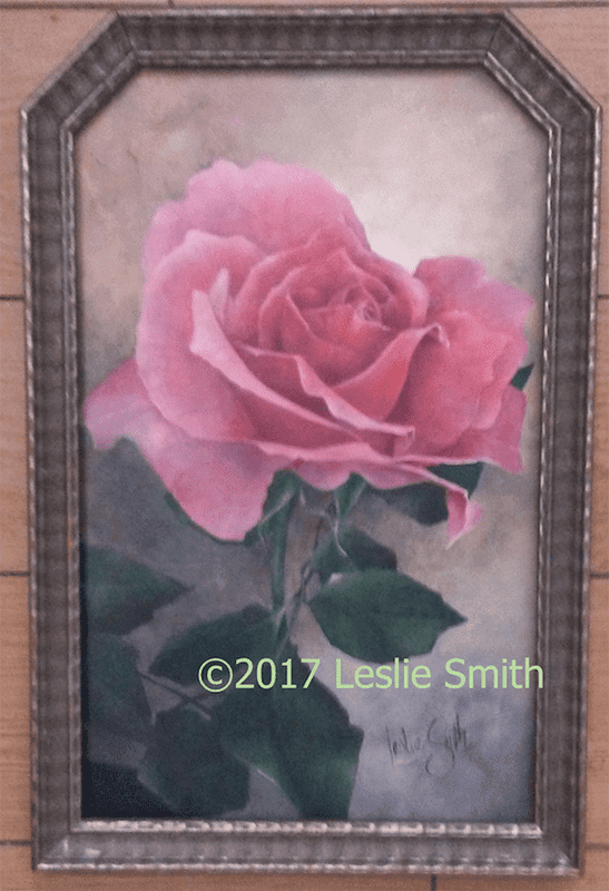 Rose on Wood Panel
